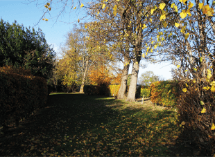 Backpacker Tent Area